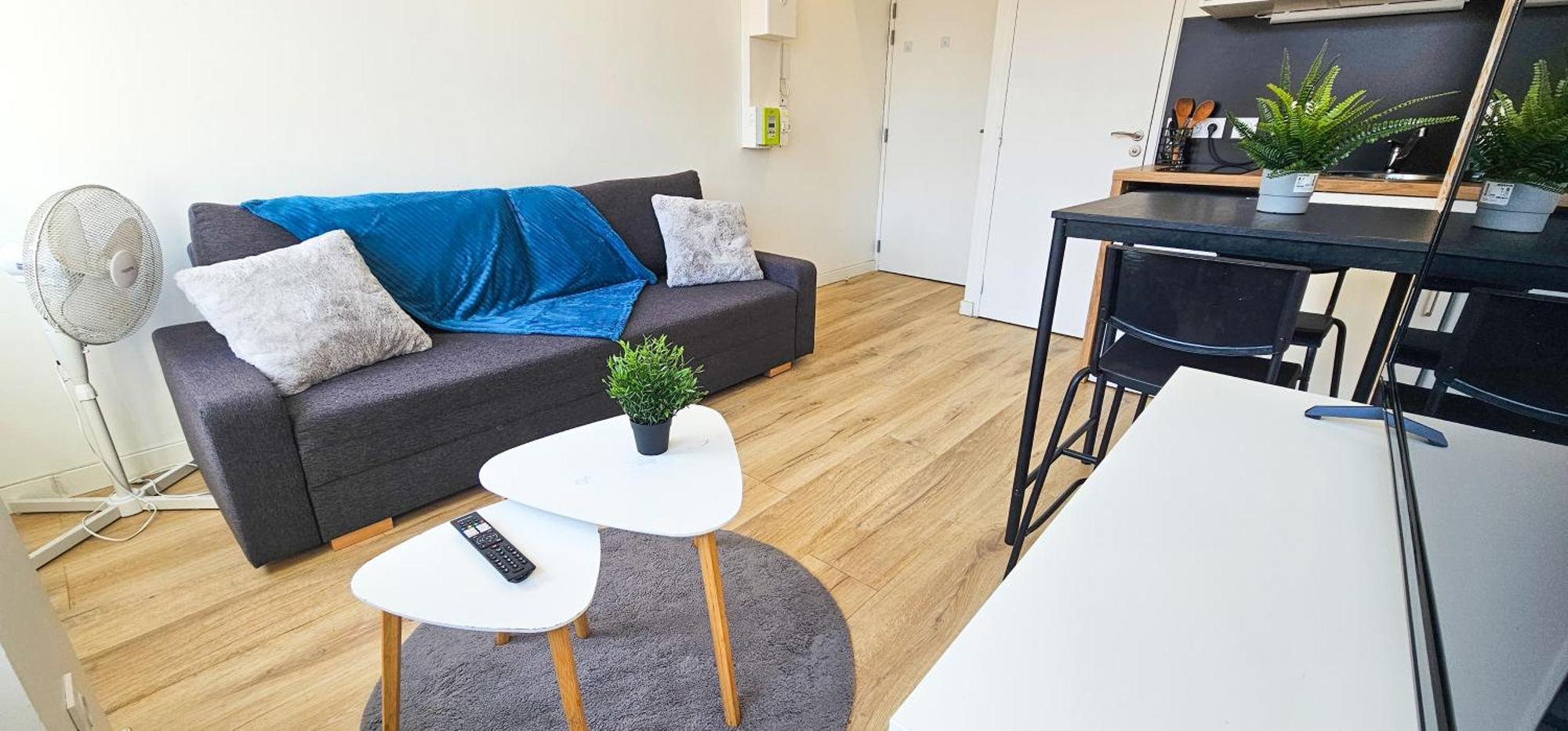 Le Chavanelle! Appartement Saint-Etienne (Loire)