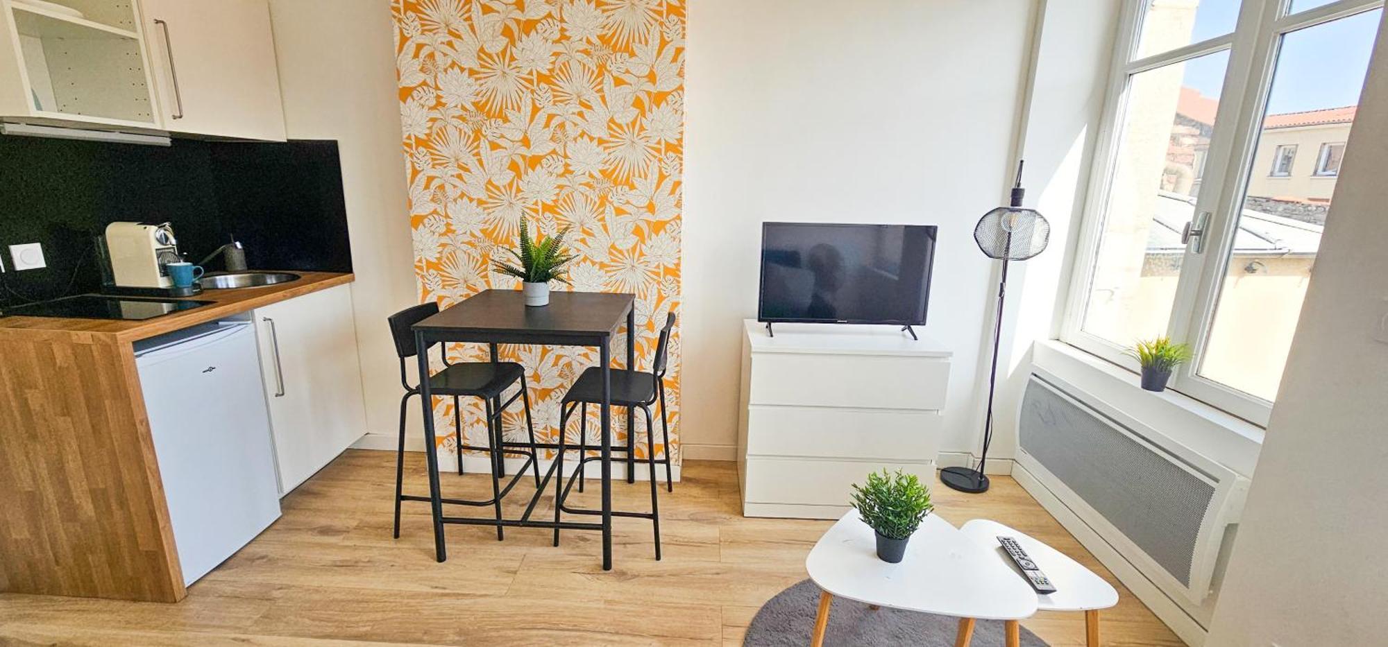 Appartement Le Chavanelle! Saint-Etienne (Loire)