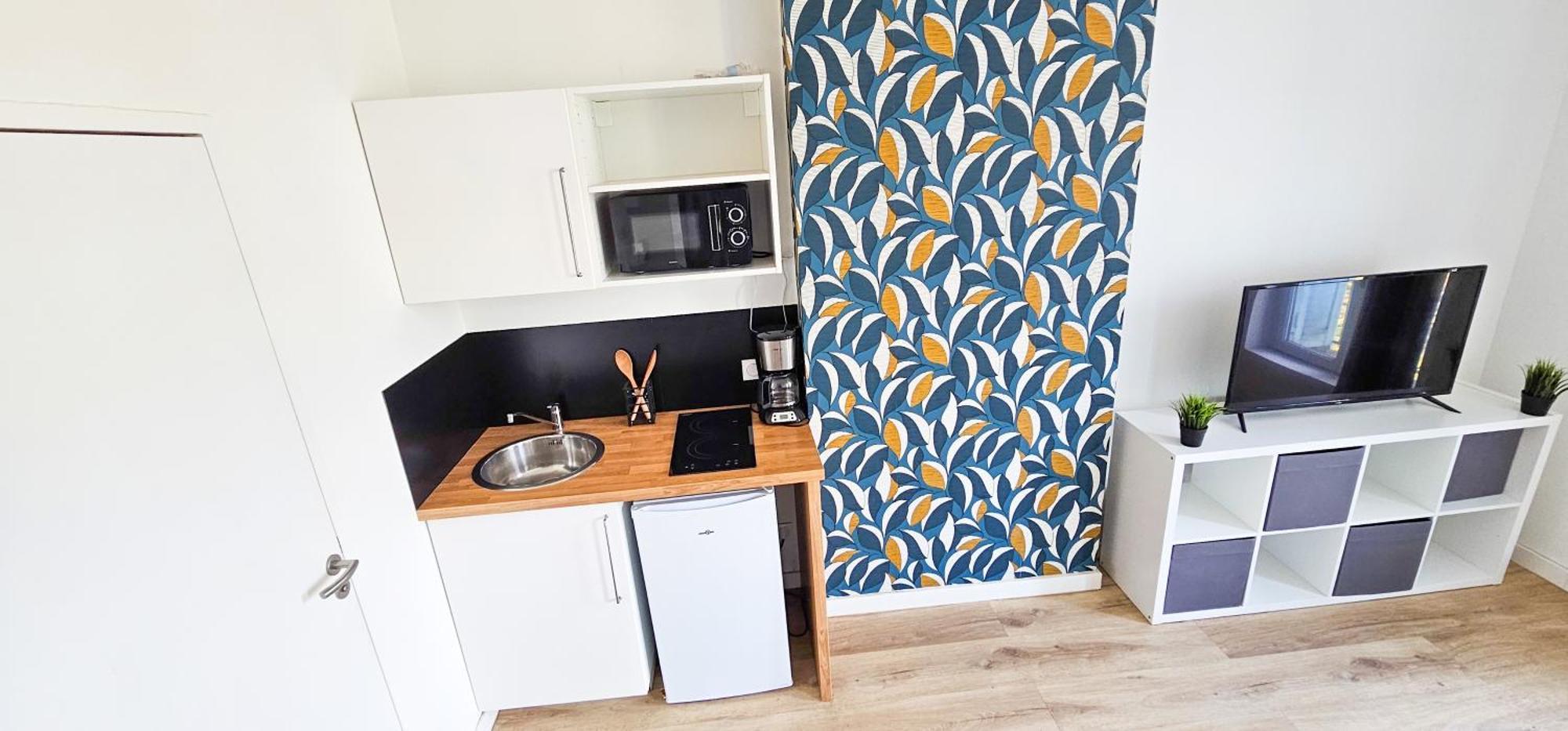 Le Chavanelle! Appartement Saint-Etienne (Loire)